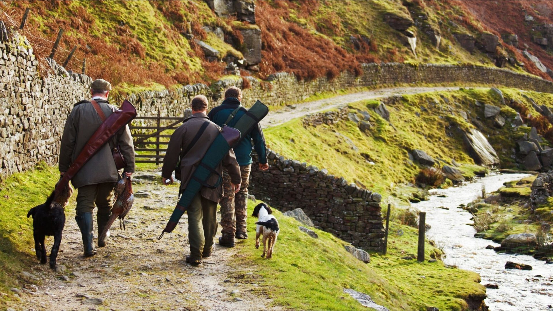 shooting-sports-in-the-uk