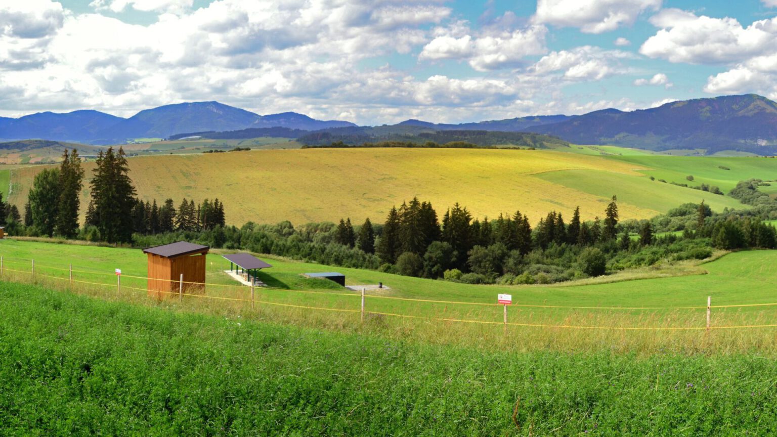 STEPS AND REGULATIONS FOR BUILDLING A CLAY TARGET SHOOTING RANGE Corsivia