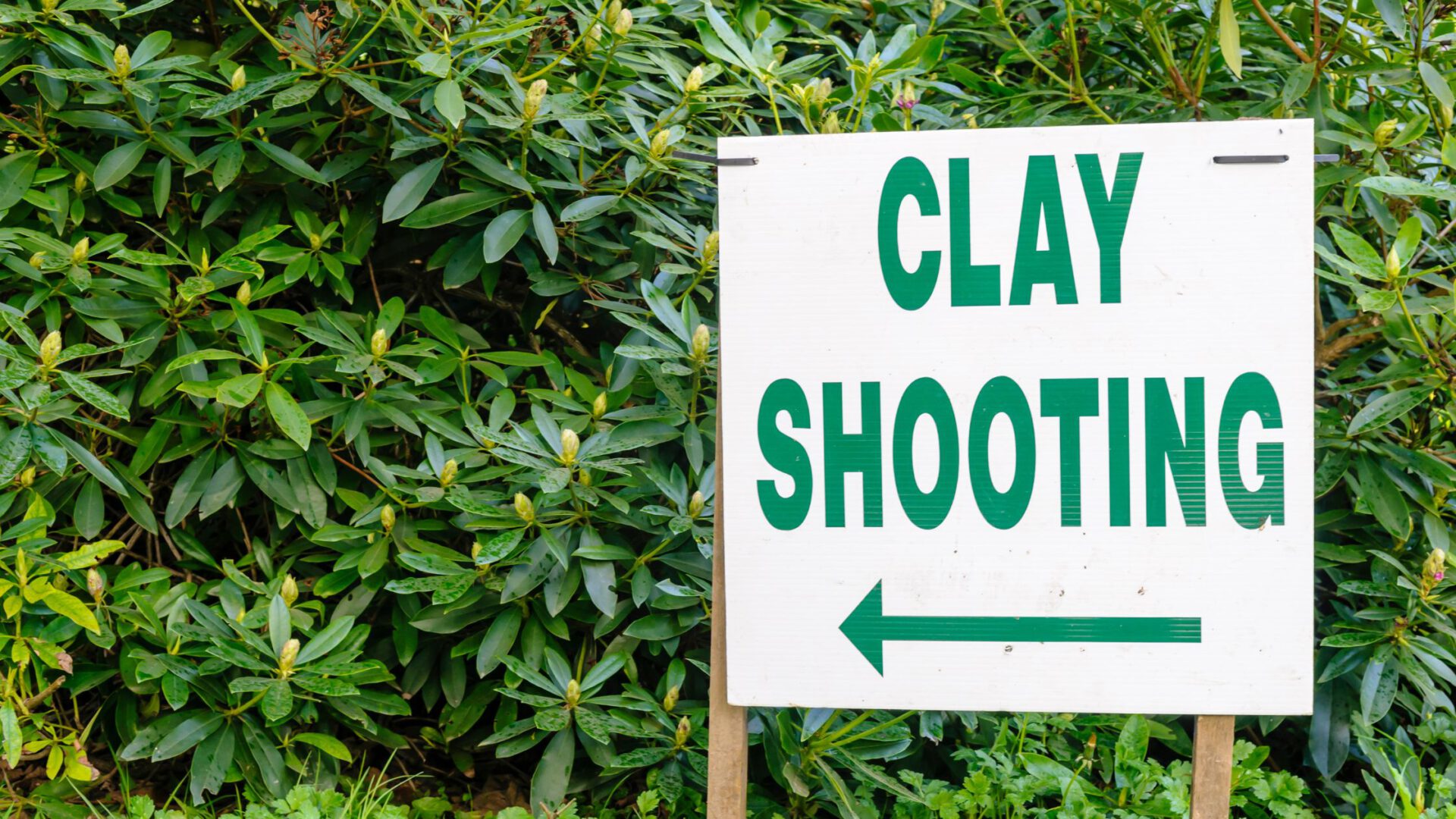 HOW-SCORING-IN-CLAY-TARGET-SHOOTING-COMPETITIONS-WORKS